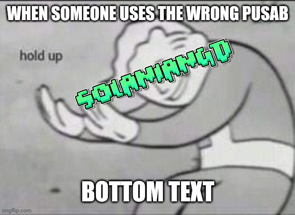 Fallout Hold Up | WHEN SOMEONE USES THE WRONG PUSAB; BOTTOM TEXT | image tagged in fallout hold up | made w/ Imgflip meme maker