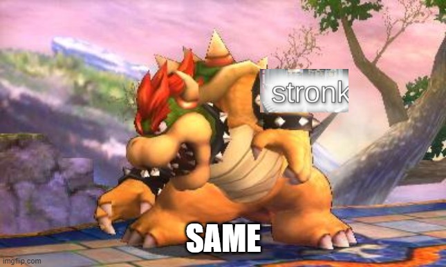 Battle-Ready Bowser | SAME | image tagged in battle-ready bowser | made w/ Imgflip meme maker