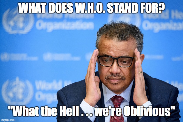 WHO | WHAT DOES W.H.O. STAND FOR? "What the Hell . . . we're Oblivious" | image tagged in who | made w/ Imgflip meme maker