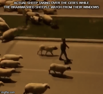 Baaahhhaaaa - Imgflip