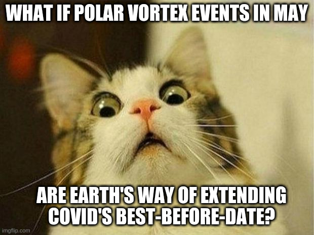 Scared Cat - Earth's Bio-sample Fridge | WHAT IF POLAR VORTEX EVENTS IN MAY; ARE EARTH'S WAY OF EXTENDING COVID'S BEST-BEFORE-DATE? | image tagged in memes,scared cat | made w/ Imgflip meme maker