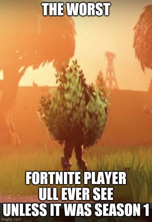Fortnite bush | THE WORST; FORTNITE PLAYER ULL EVER SEE UNLESS IT WAS SEASON 1 | image tagged in fortnite bush | made w/ Imgflip meme maker