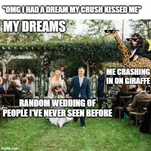 "OMG I HAD A DREAM MY CRUSH KISSED ME"; MY DREAMS; ME CRASHING IN ON GIRAFFE; RANDOM WEDDING OF PEOPLE I'VE NEVER SEEN BEFORE | image tagged in dreams | made w/ Imgflip meme maker