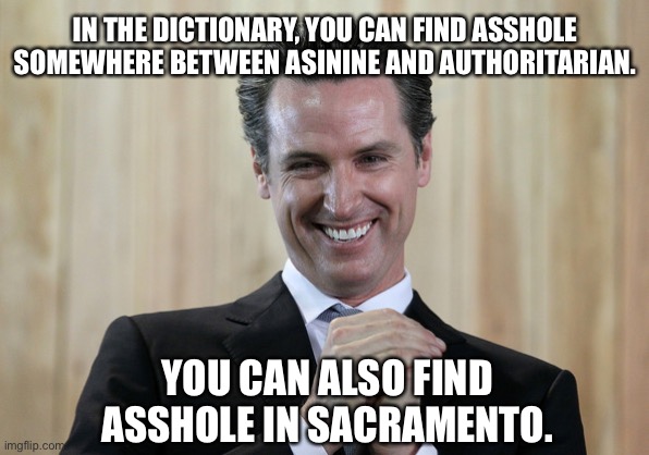 Newsom fits the definition of asshole | IN THE DICTIONARY, YOU CAN FIND ASSHOLE SOMEWHERE BETWEEN ASININE AND AUTHORITARIAN. YOU CAN ALSO FIND ASSHOLE IN SACRAMENTO. | image tagged in scheming gavin newsom,memes,asshole,dictionary,california,political | made w/ Imgflip meme maker