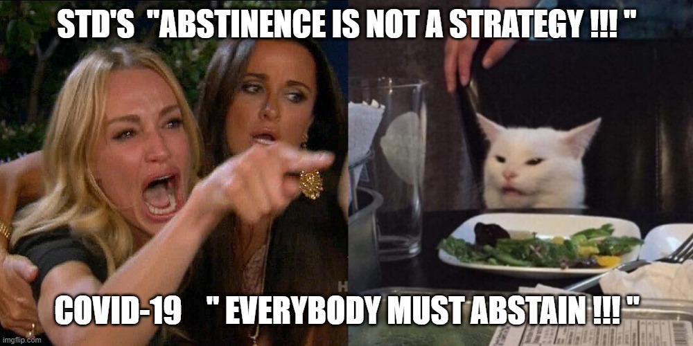 Abstinence !!!  ??? | STD'S  "ABSTINENCE IS NOT A STRATEGY !!! "; COVID-19    " EVERYBODY MUST ABSTAIN !!! " | image tagged in woman yelling at cat | made w/ Imgflip meme maker