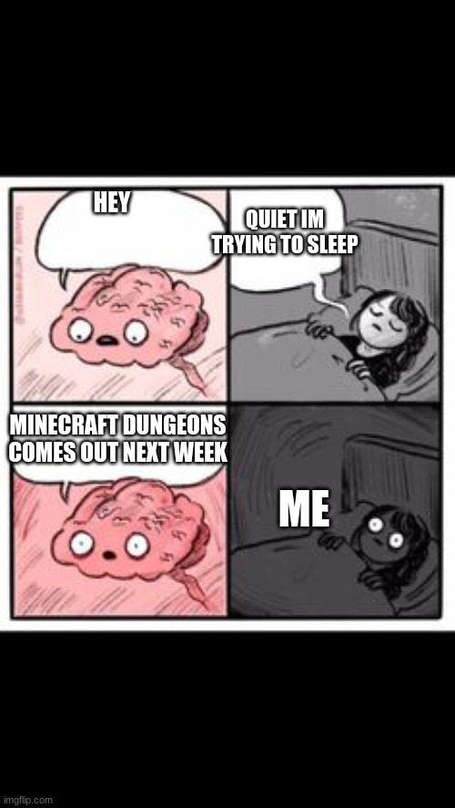 my life in a nutshell | QUIET IM TRYING TO SLEEP; HEY; MINECRAFT DUNGEONS COMES OUT NEXT WEEK; ME | image tagged in so true memes | made w/ Imgflip meme maker
