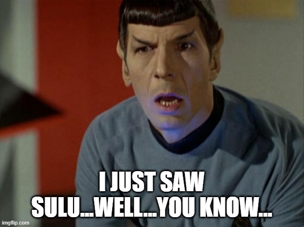 Not For Vulcan Eyes | I JUST SAW SULU...WELL...YOU KNOW... | image tagged in shocked spock | made w/ Imgflip meme maker