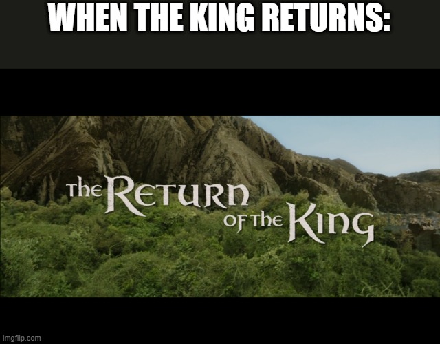 anti-memes | WHEN THE KING RETURNS: | image tagged in return of the king | made w/ Imgflip meme maker