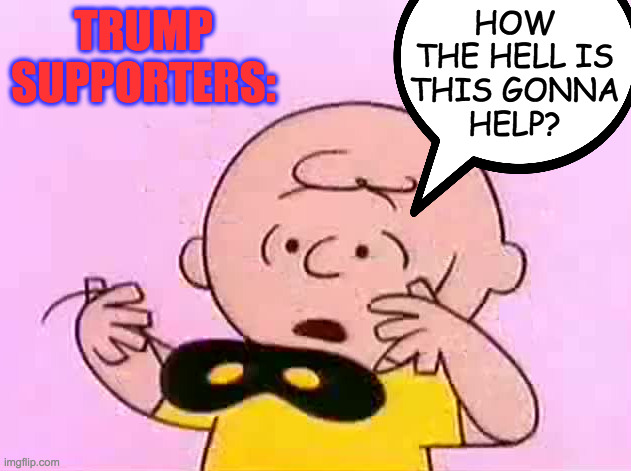 HOW
THE HELL IS
THIS GONNA
HELP? TRUMP SUPPORTERS: | image tagged in memes,trump supporters | made w/ Imgflip meme maker