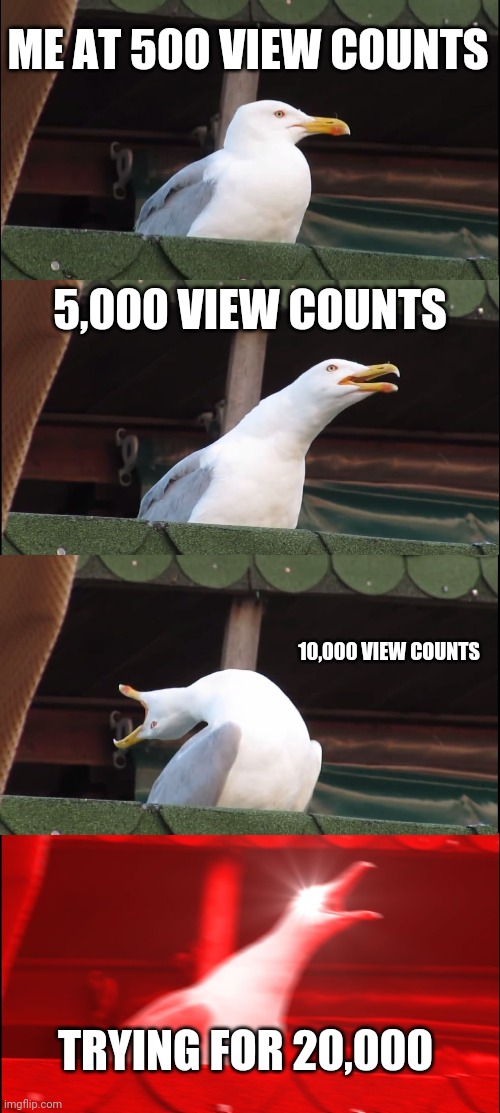 Inhaling Seagull | ME AT 500 VIEW COUNTS; 5,000 VIEW COUNTS; 10,000 VIEW COUNTS; TRYING FOR 20,000 | image tagged in memes,inhaling seagull | made w/ Imgflip meme maker