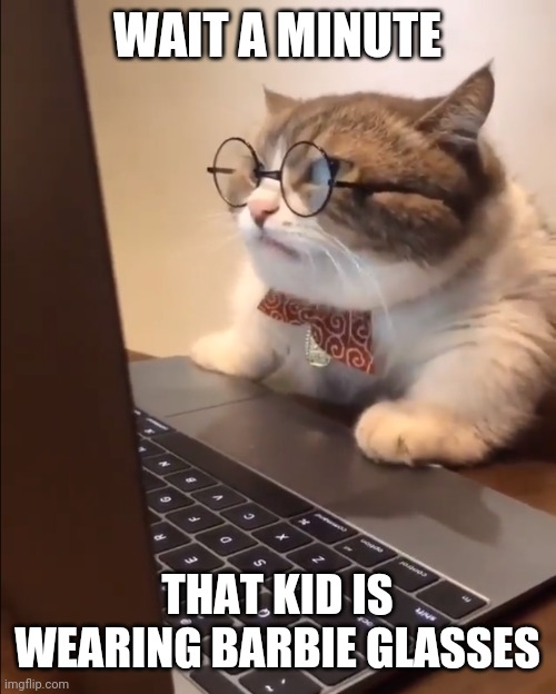 research cat | WAIT A MINUTE THAT KID IS WEARING BARBIE GLASSES | image tagged in research cat | made w/ Imgflip meme maker