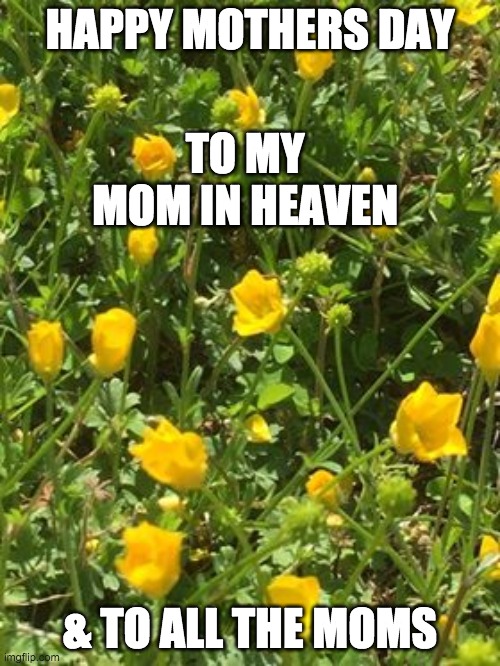 Happy Mothers Day | HAPPY MOTHERS DAY; TO MY MOM IN HEAVEN; & TO ALL THE MOMS | image tagged in mothers day | made w/ Imgflip meme maker
