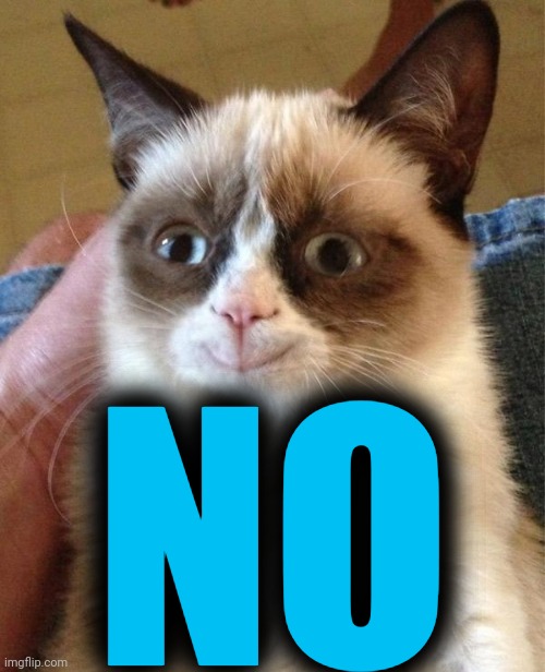 Grumpy Cat Happy Meme | NO | image tagged in memes,grumpy cat happy,grumpy cat | made w/ Imgflip meme maker