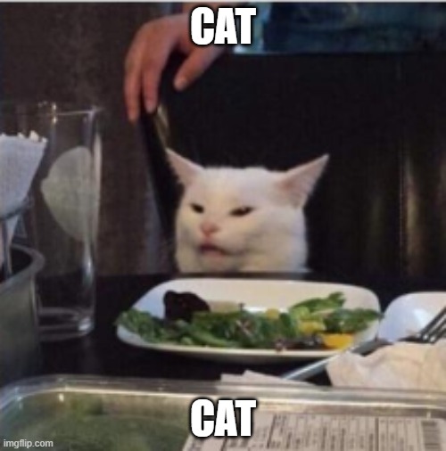 cat | CAT; CAT | image tagged in cat | made w/ Imgflip meme maker