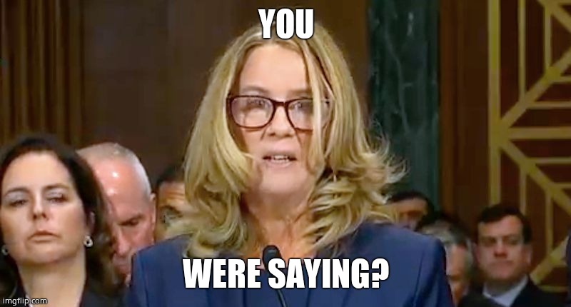 Christine Blasey Ford | YOU WERE SAYING? | image tagged in christine blasey ford | made w/ Imgflip meme maker