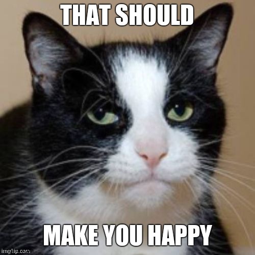 Too much cat | THAT SHOULD MAKE YOU HAPPY | image tagged in too much cat | made w/ Imgflip meme maker