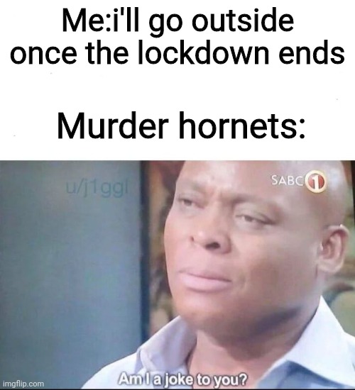 how did they get here!? | Me:i'll go outside once the lockdown ends; Murder hornets: | image tagged in am i a joke to you,murder hornets,coronavirus meme | made w/ Imgflip meme maker