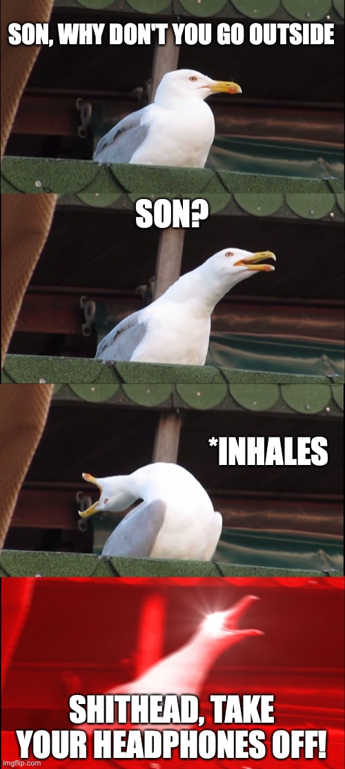 Inhalee | SON, WHY DON'T YOU GO OUTSIDE; SON? *INHALES; SHITHEAD, TAKE YOUR HEADPHONES OFF! | image tagged in memes,inhaling seagull | made w/ Imgflip meme maker