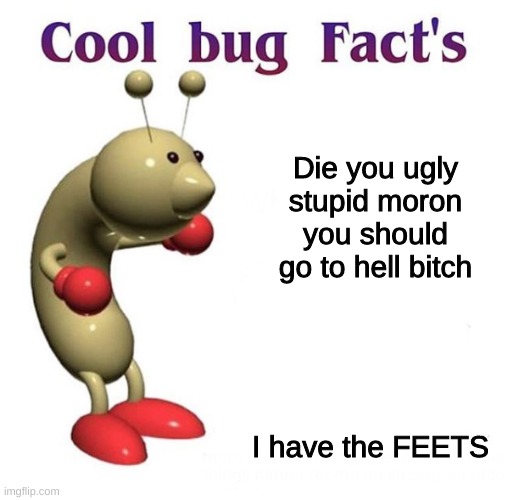 Cool Bug Facts | Die you ugly stupid moron you should go to hell bitch; I have the FEETS | image tagged in cool bug facts,memes | made w/ Imgflip meme maker