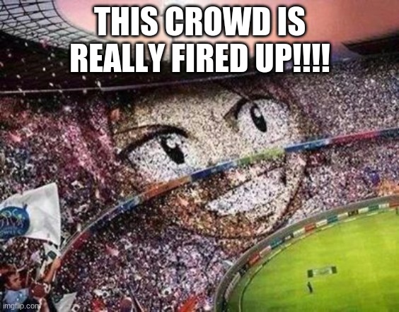 fired up! |  THIS CROWD IS REALLY FIRED UP!!!! | image tagged in fairy tail natsu | made w/ Imgflip meme maker