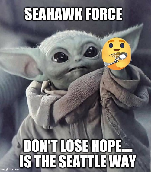 SEAHAWK FORCE; DON'T LOSE HOPE....

IS THE SEATTLE WAY | image tagged in seattle seahawks | made w/ Imgflip meme maker