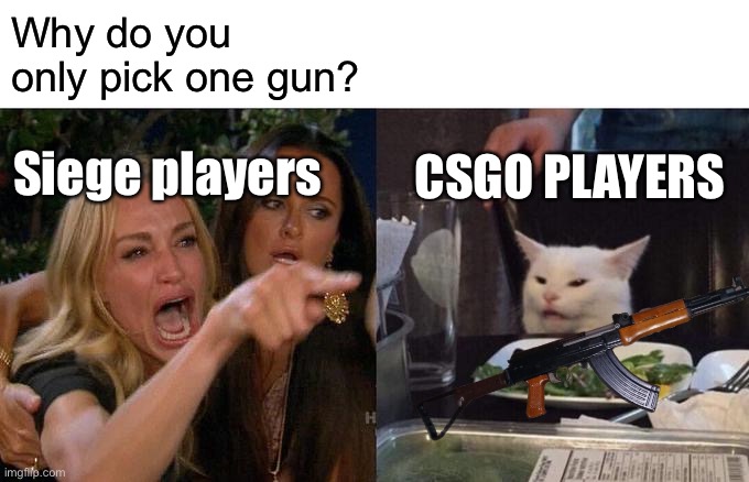Why do you only pick one gun? Siege players; CSGO PLAYERS | image tagged in csgo,siege | made w/ Imgflip meme maker
