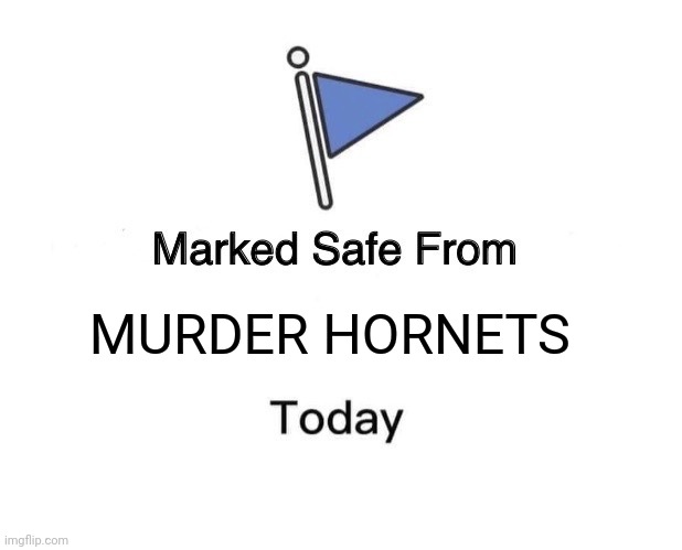 Marked Safe From | MURDER HORNETS | image tagged in memes,marked safe from | made w/ Imgflip meme maker