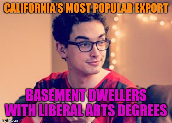 Millennial | CALIFORNIA'S MOST POPULAR EXPORT BASEMENT DWELLERS WITH LIBERAL ARTS DEGREES | image tagged in millennial | made w/ Imgflip meme maker