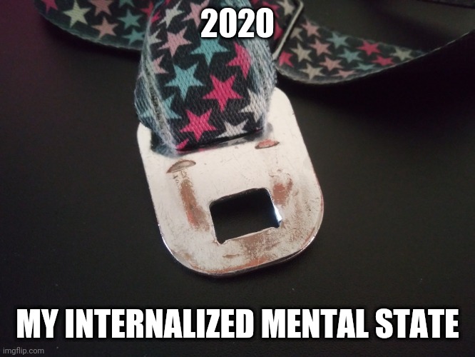 How 2020 makes me feel | 2020; MY INTERNALIZED MENTAL STATE | image tagged in how 2020 makes me feel | made w/ Imgflip meme maker