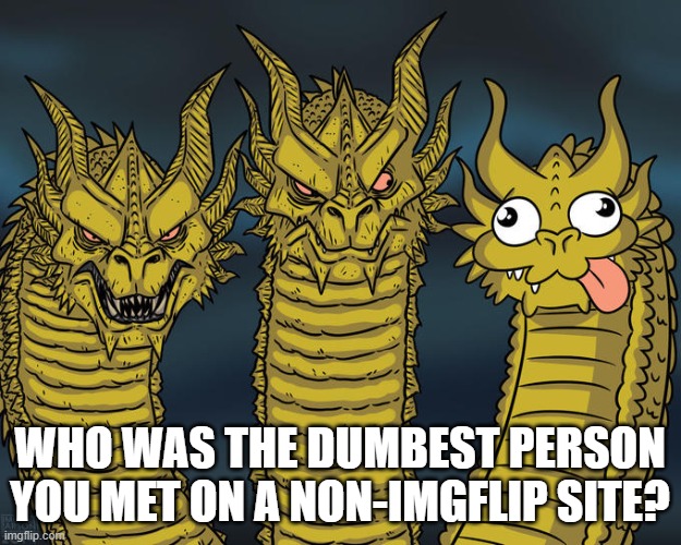 There are just so many... | WHO WAS THE DUMBEST PERSON YOU MET ON A NON-IMGFLIP SITE? | image tagged in three-headed dragon | made w/ Imgflip meme maker