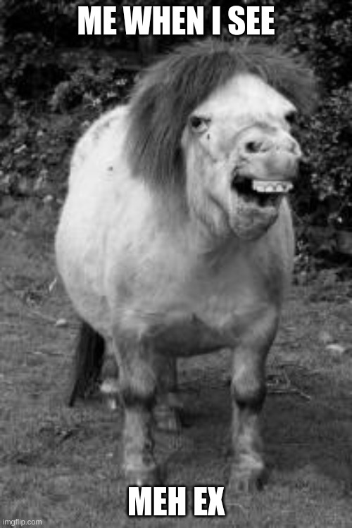 ugly horse | ME WHEN I SEE; MEH EX | image tagged in ugly horse | made w/ Imgflip meme maker