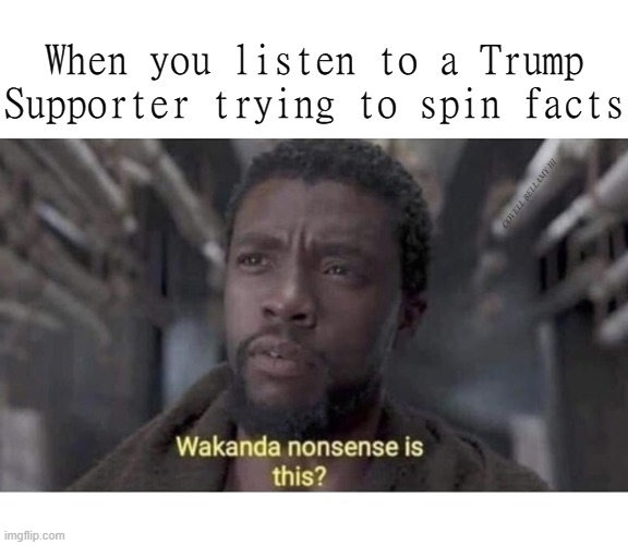 When you listen to a Trump Supporter trying to spin facts; COVELL BELLAMY III | image tagged in when you listen to a trump supporter trying to spin facts | made w/ Imgflip meme maker