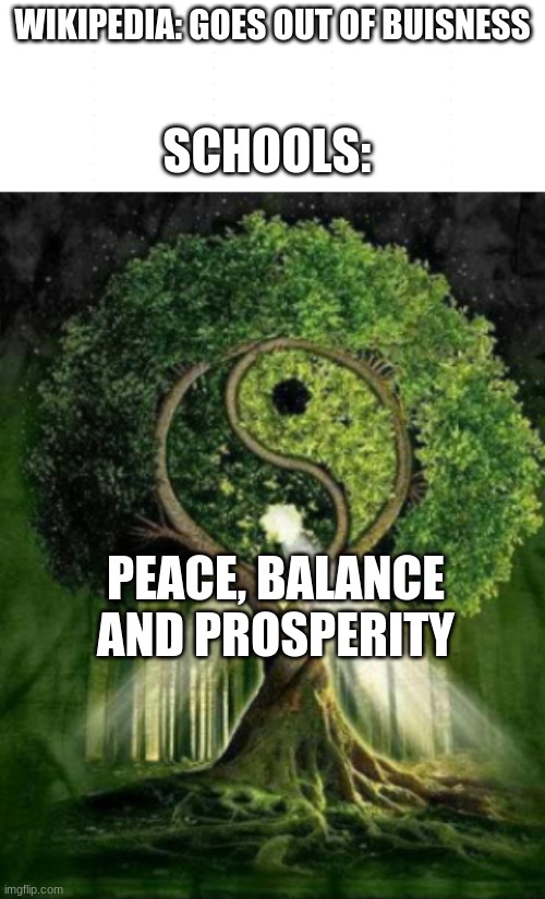 Who else couldn't use that site? | WIKIPEDIA: GOES OUT OF BUISNESS; SCHOOLS:; PEACE, BALANCE AND PROSPERITY | image tagged in school,balance,wikipedia | made w/ Imgflip meme maker