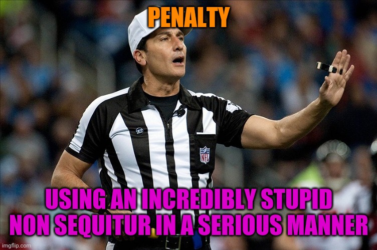 Flag on the play | PENALTY USING AN INCREDIBLY STUPID NON SEQUITUR IN A SERIOUS MANNER | image tagged in flag on the play | made w/ Imgflip meme maker