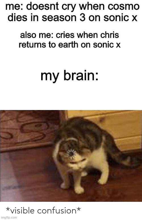 y u no cri at cozmo dye | me: doesnt cry when cosmo dies in season 3 on sonic x; also me: cries when chris returns to earth on sonic x; my brain: | image tagged in visible confusion,sonic x | made w/ Imgflip meme maker