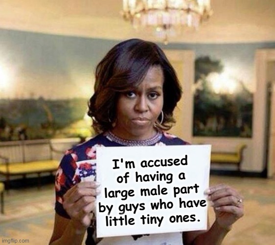 Michelle Obama, an Ivy League-trained lawyer, a superb wife and mother and all woman. | I'm accused of having a large male part by guys who have little tiny ones. | image tagged in michelle obama blank sheet,michelle obama,princeton,columbia,mother,woman | made w/ Imgflip meme maker