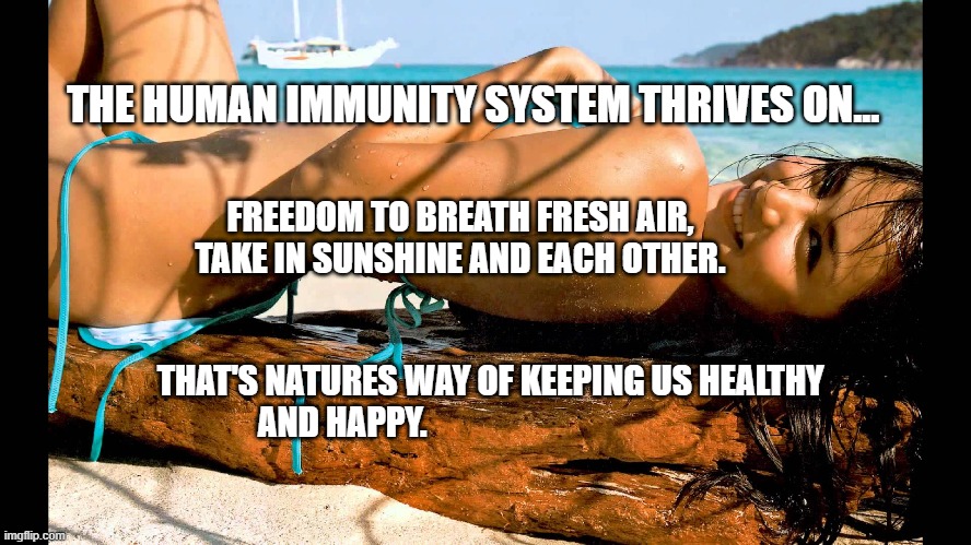 Sexy girl on beach  | THE HUMAN IMMUNITY SYSTEM THRIVES ON... FREEDOM TO BREATH FRESH AIR, TAKE IN SUNSHINE AND EACH OTHER.                                                      
         THAT'S NATURES WAY OF KEEPING US HEALTHY AND HAPPY. | image tagged in sexy girl on beach | made w/ Imgflip meme maker