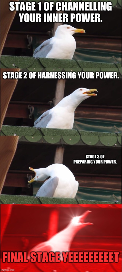 Inhaling Seagull Meme | STAGE 1 OF CHANNELLING YOUR INNER POWER. STAGE 2 OF HARNESSING YOUR POWER. STAGE 3 OF PREPARING YOUR POWER. FINAL STAGE YEEEEEEEEET | image tagged in memes,inhaling seagull | made w/ Imgflip meme maker