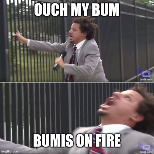 Bum on fire | OUCH MY BUM; BUMIS ON FIRE | image tagged in eric andre let me in blank | made w/ Imgflip meme maker