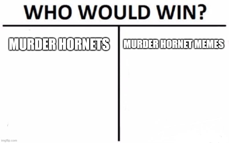 Dem Murder Hornet Memes | MURDER HORNETS; MURDER HORNET MEMES | image tagged in memes,who would win,murder hornets,funny | made w/ Imgflip meme maker