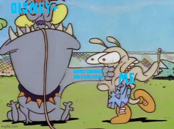 This Is Actually Happening | DISNEY+; ME; DISNEY CHANNEL SHUTTING DOWN | image tagged in earl punches rocko,disney,shutdown,disneyplus | made w/ Imgflip meme maker