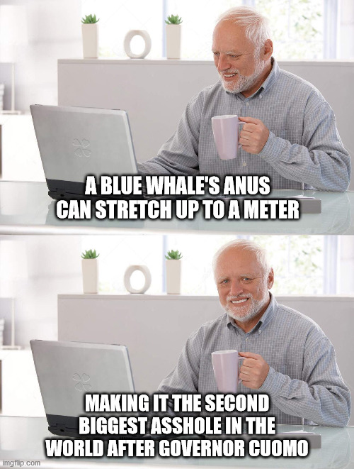 Biggest Asshole | A BLUE WHALE'S ANUS CAN STRETCH UP TO A METER; MAKING IT THE SECOND BIGGEST ASSHOLE IN THE WORLD AFTER GOVERNOR CUOMO | image tagged in old man cup of coffee | made w/ Imgflip meme maker