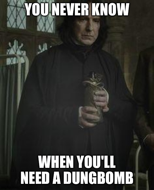 In case the death eater meeting gets too boring | YOU NEVER KNOW; WHEN YOU'LL NEED A DUNGBOMB | image tagged in snape brown bag,snape,professor snape,harry potter | made w/ Imgflip meme maker