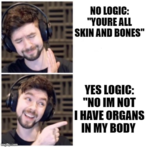 i did this for school plz dont hate me jack | NO LOGIC:
"YOURE ALL SKIN AND BONES"; YES LOGIC:
"NO IM NOT I HAVE ORGANS IN MY BODY | image tagged in jacksepticeye drake | made w/ Imgflip meme maker