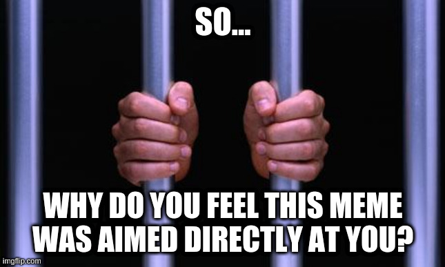 Prison Bars | SO... WHY DO YOU FEEL THIS MEME WAS AIMED DIRECTLY AT YOU? | image tagged in prison bars | made w/ Imgflip meme maker