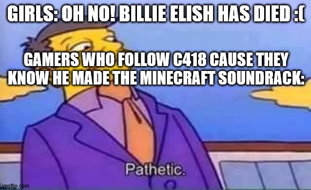 C418 is better than Billie Elish.. Don't you think? | GIRLS: OH NO! BILLIE ELISH HAS DIED :(; GAMERS WHO FOLLOW C418 CAUSE THEY KNOW HE MADE THE MINECRAFT SOUNDRACK: | image tagged in skinner pathetic | made w/ Imgflip meme maker