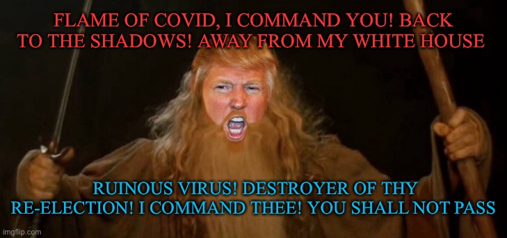 Lord of the Virus | FLAME OF COVID, I COMMAND YOU! BACK TO THE SHADOWS! AWAY FROM MY WHITE HOUSE; RUINOUS VIRUS! DESTROYER OF THY RE-ELECTION! I COMMAND THEE! YOU SHALL NOT PASS | image tagged in trump,politics,gandalf,orange,funny | made w/ Imgflip meme maker