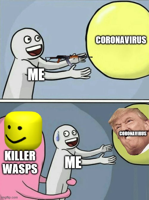 Running Away Balloon Meme | CORONAVIRUS; ME; CORONAVIRUS; KILLER WASPS; ME | image tagged in memes,running away balloon | made w/ Imgflip meme maker
