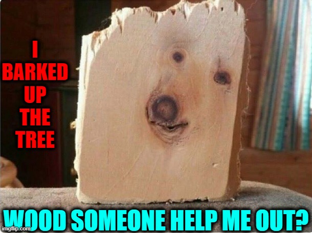 A Plank from the Dogwood Tree | I BARKED UP THE TREE; WOOD SOMEONE HELP ME OUT? | image tagged in vince vance,dogs,wood,barking,funny dog memes,new memes | made w/ Imgflip meme maker