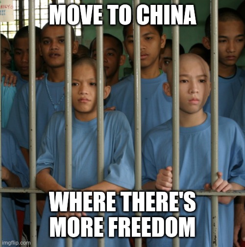 MOVE TO CHINA WHERE THERE'S MORE FREEDOM | made w/ Imgflip meme maker